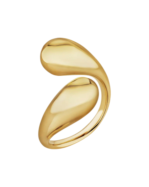 Twisted Dash Ring